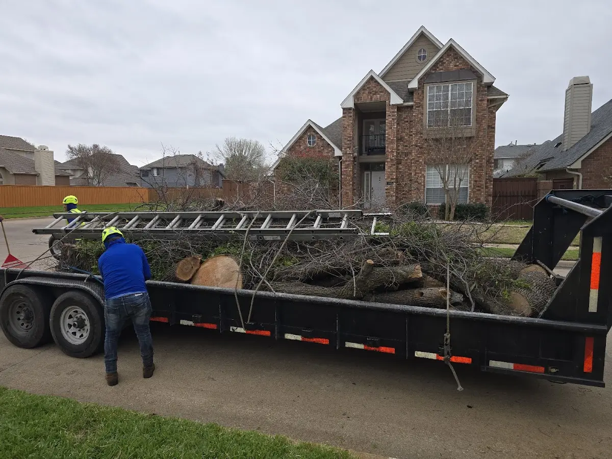 Expert Lot Clearing with proper safety equipment in Monroe